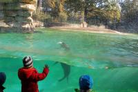 Imagine atasata: Zoo Berlin 0485.JPG